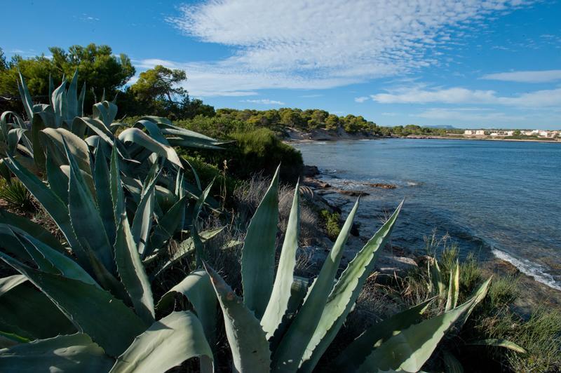 Casitas De Pescadores El Estanyol Exteriér fotografie